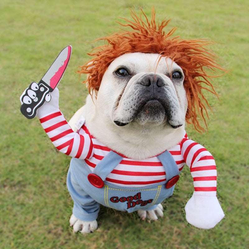 Pet Halloween Costume Kit - Clothes, Wig, and Foam Knife