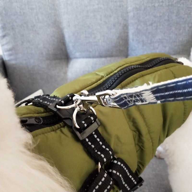 High-Quality Rain Silk Dog Coat Delight