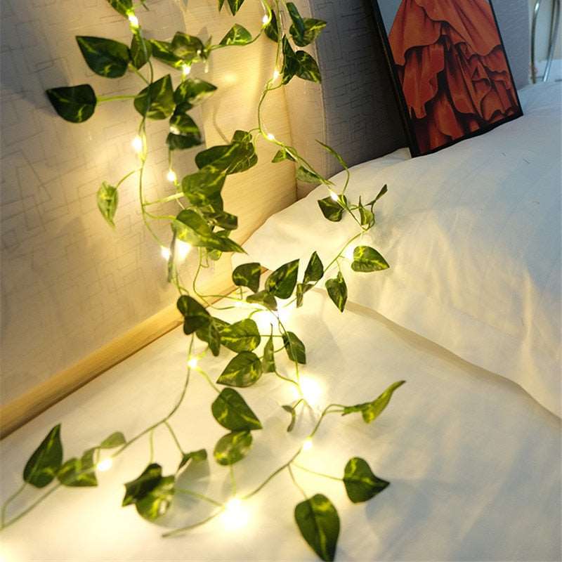 Indoor String Lights perfect gift for christmas thanksgiving black friday halloween all holiday party ocassions at acheckbox