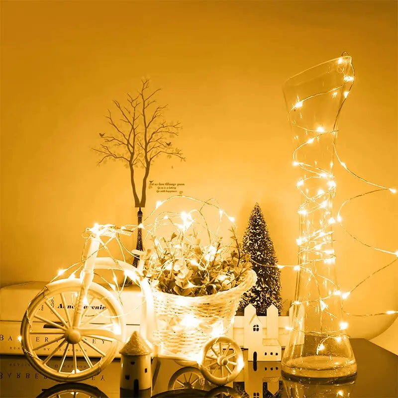 Outdoor Lighting Solutions Fairy Lights for Every Occasion
