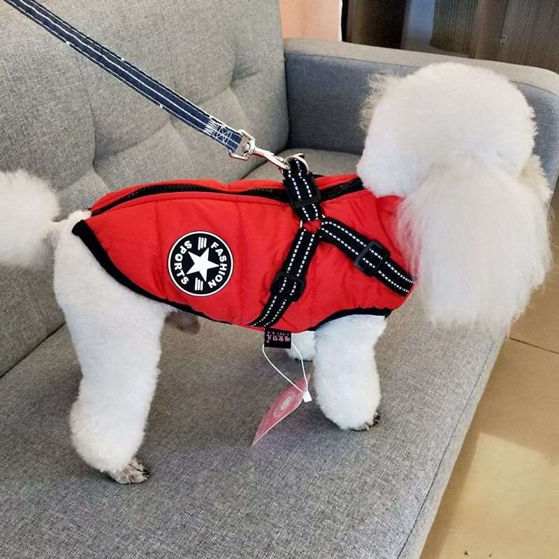 Stylish Pet Outerwear for 2024