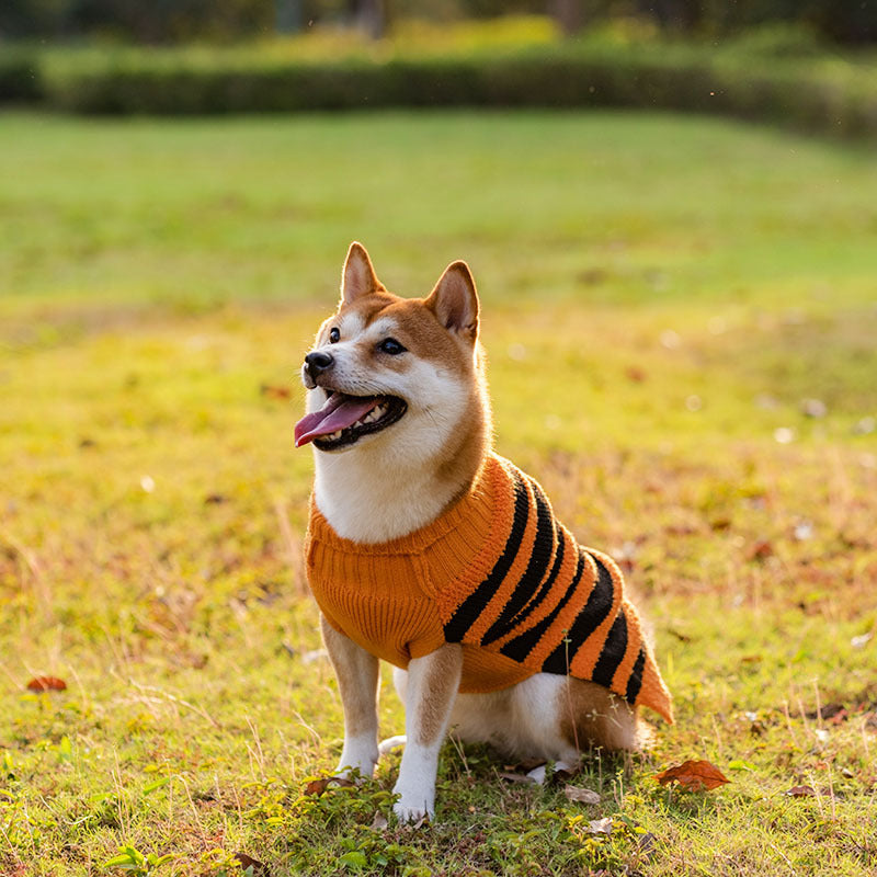 Pet Halloween Costume Sweaters for All Sizes