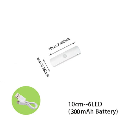 Motion Sensor Wireless LED Night Light, USB Rechargeable Kitchen Cabinet Light, Wardrobe Lamp, Staircase Backlight, LED Brilliance, Magnetic Suction Design, Induction Lamp, Versatile Motion Sensor Light www.acheckbox.com