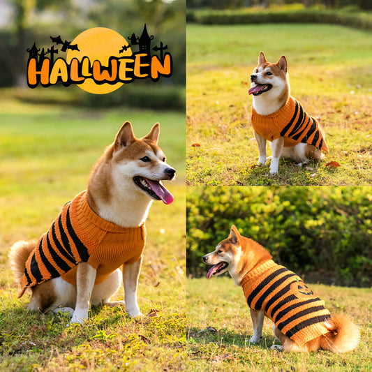 Pet Halloween Costume Sweaters for All Sizes