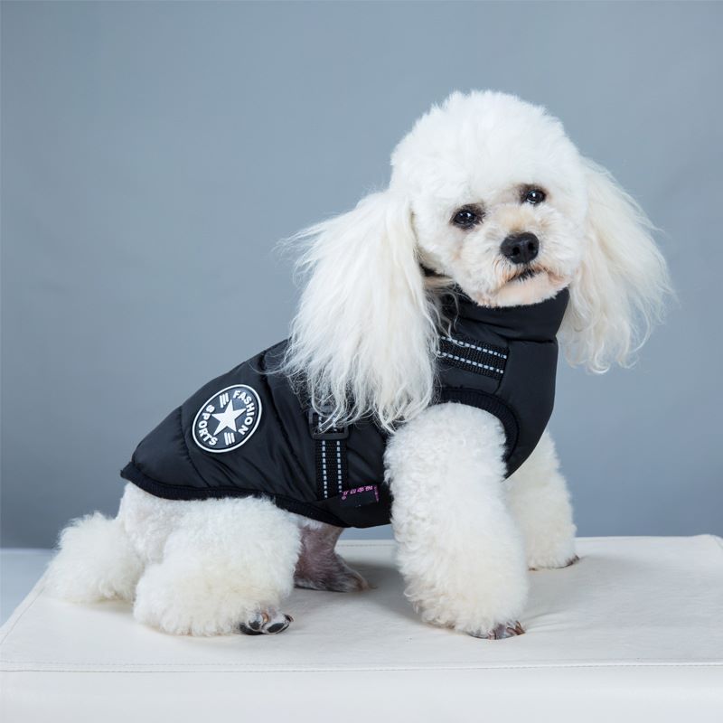 Winter Dog Costume with Built-in Harness
