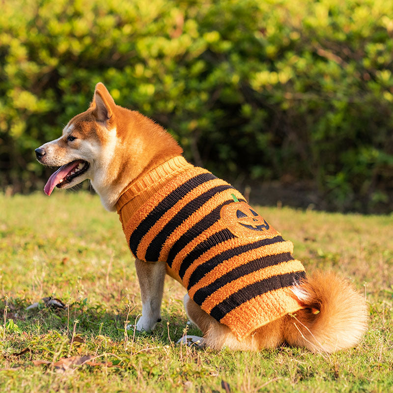 Pet Halloween Costume Sweaters for All Sizes